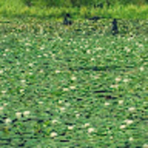 Meet your Posher, Denise